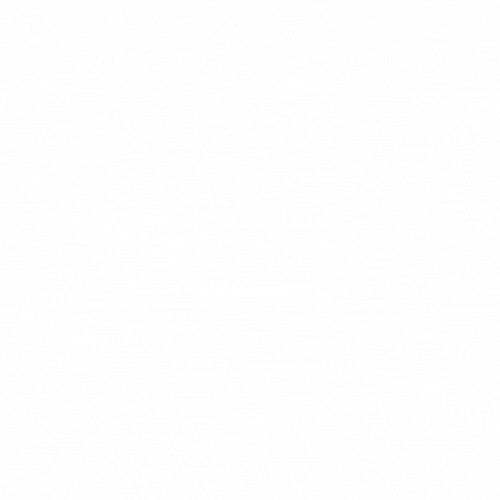 Animation_event_website (1)